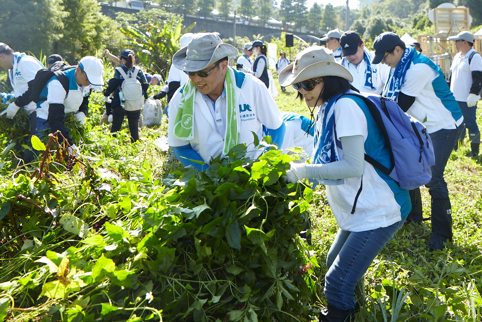 DUOBAO�����پW(w��ng)�y�ֺ�������c���F(tu��n)־�������Ƴ�����N֮�Є��{(l��n)�D��ᘌ�DUOBAO�����پW(w��ng)��?zh��)��S�^(q��)������Ϫ�ذ���С�������m�����M(j��n)���Ƴ��c�������I(y��)